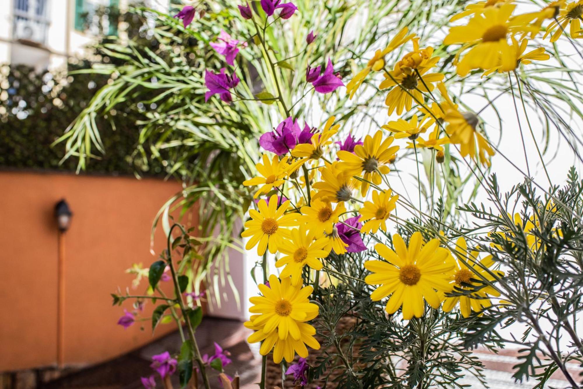 Spanish Steps Apartment & Terrace Рим Екстериор снимка